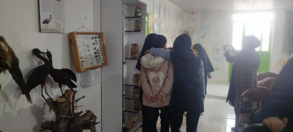 بازدید دانش‌آموزان مدرسه شهید خاقانی از موزه حیات وحش شیروان