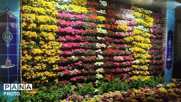 قاب های ماندگار از حرم امام رئوف در ایام دهه کرامت