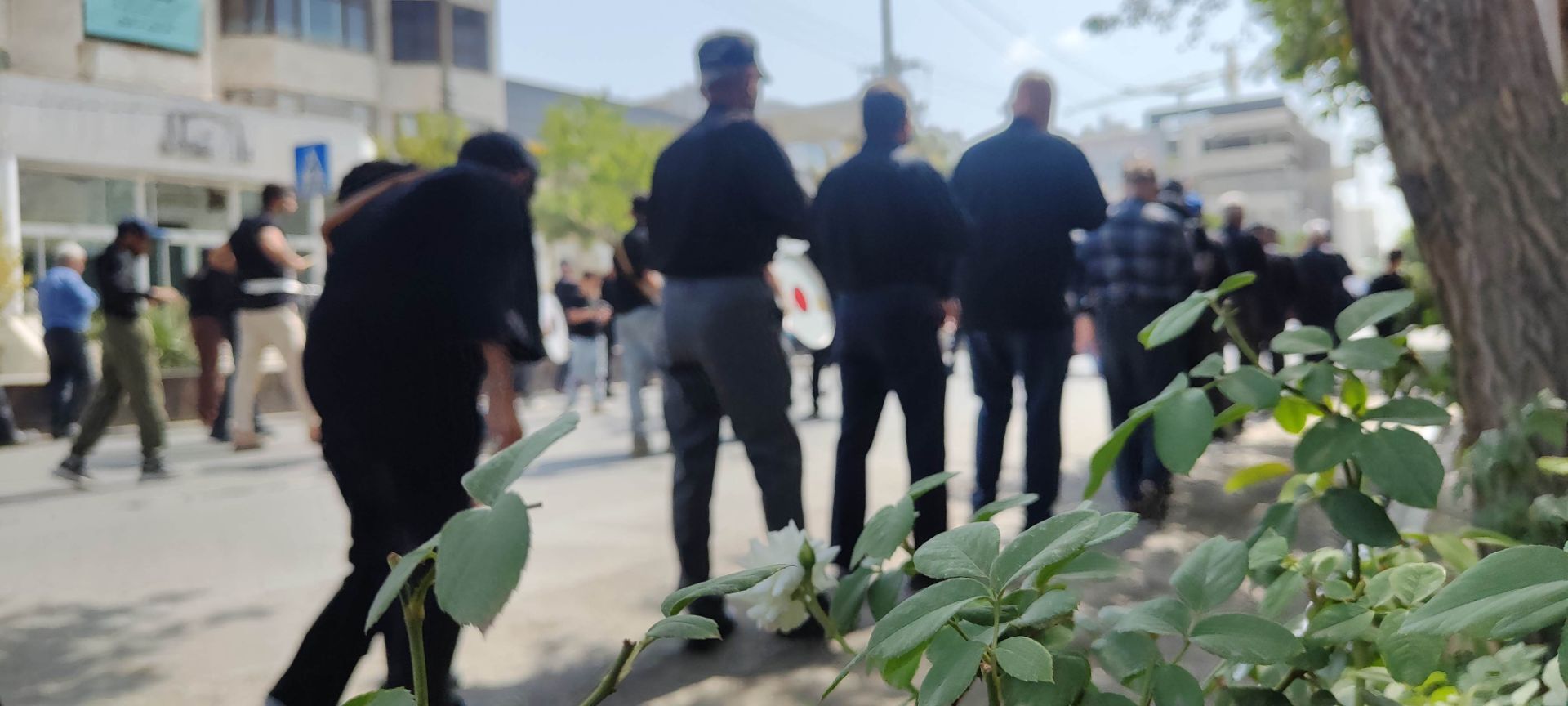 برگزاری مراسم عزاداری اربعین حسینی  در شیروان