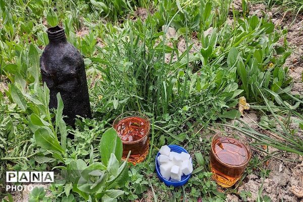 حال و هوای شهر بار نیشابور در فصل زیبای بهار