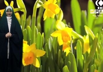 دکلمه خوانی دانش‌آموز خبرنگار پانا به مناسبت نهم ربیع الاول