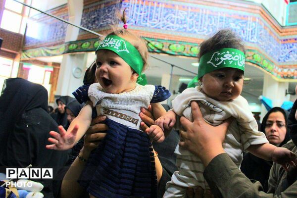 مراسم شیرخوارگان حسینی در منطقه پردیس