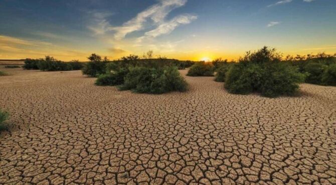 بیابان‌زدایی، راهی برای نجات منابع طبیعی
