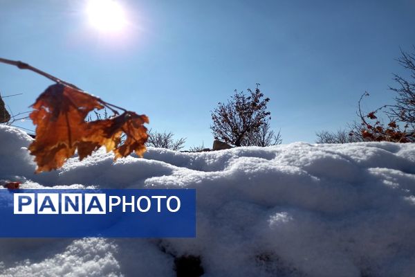 رد پای برف در باغات نهضت آباد اصفهان