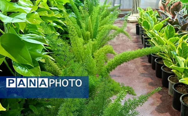 یازدهمین نمایشگاه گل و گیاه، صنایع دستی و سوغات اقوام ایرانی در اصفهان