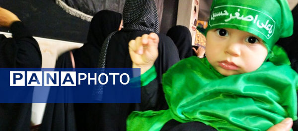 همایش شیرخوارگان حسینی(ع) در قم -3