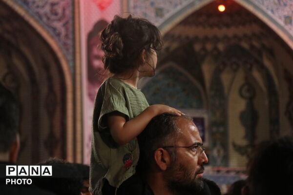 شیعیان هند و پاکستان در جوار حریم ملکوتی امام رضا(ع)