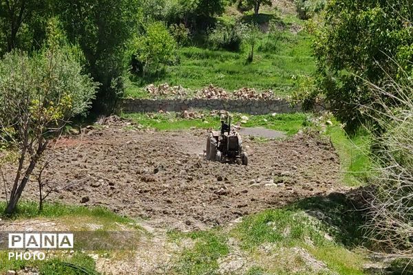 حال و هوای شهر بار نیشابور در فصل زیبای بهار