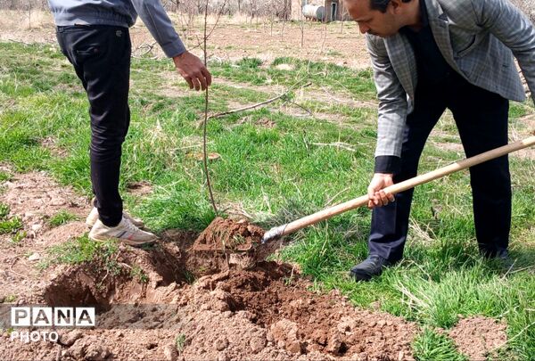 مراسم کاشت نهال در اردوگاه شهید رجایی شهرستان نیشابور