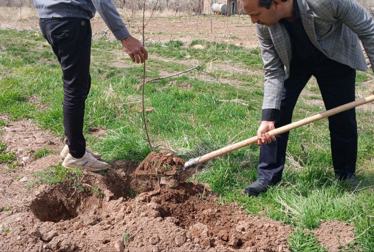 مراسم کاشت نهال در اردوگاه شهید رجایی شهرستان نیشابور