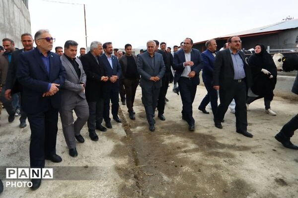 افتتاح طرح‌های عمرانی و آموزشی اسدآباد با حضور استاندار همدان