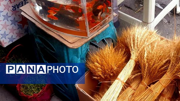  بازار منطقه ۱۸ با حال و هوای بهار نوروزی 