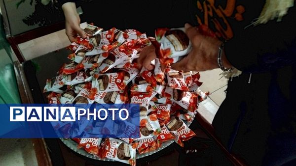 مدرسه سیدالشهداء ۲ مهاجران، میزبان خادمان امام رضا (ع)