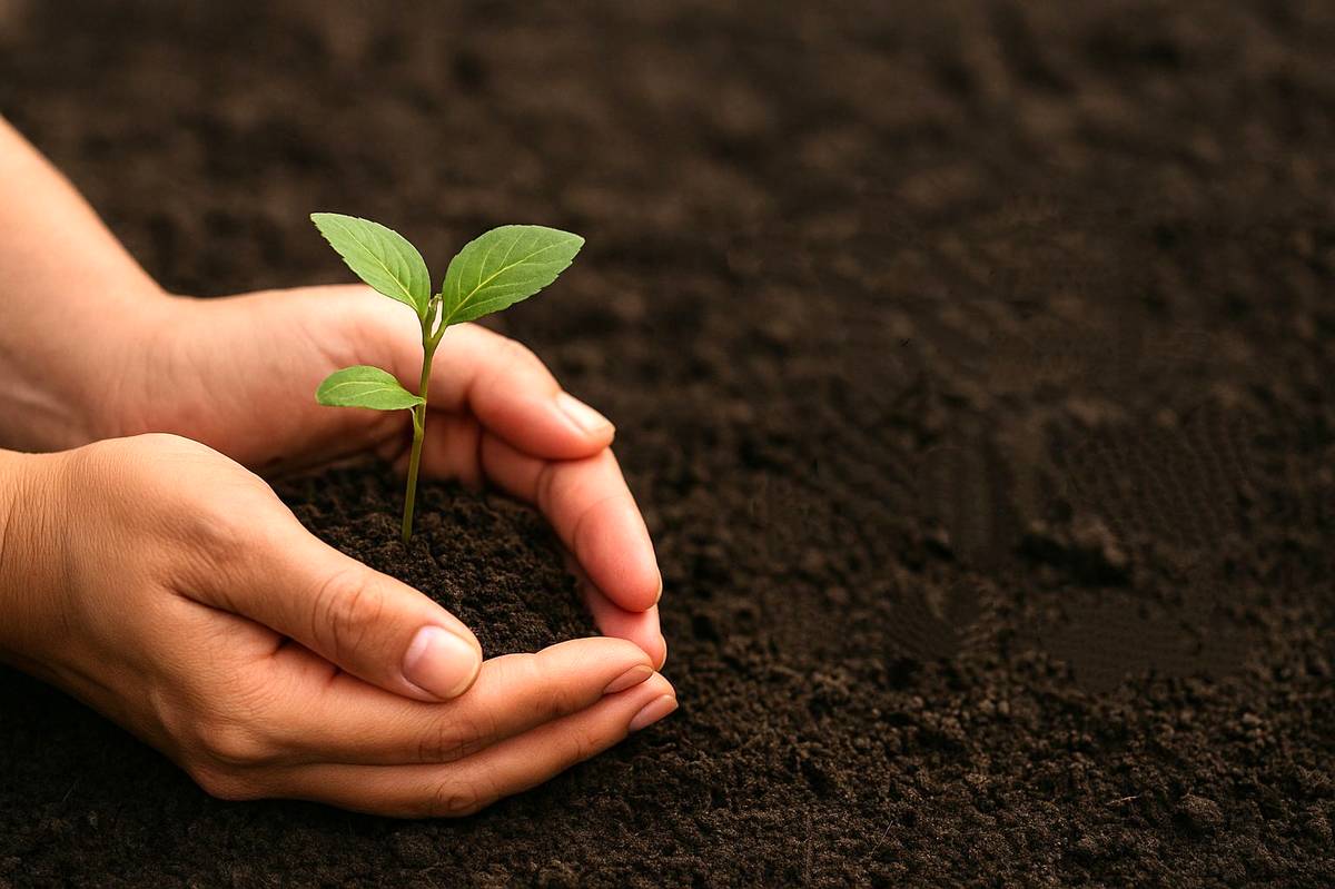 زمین خانه مشترک همه ماست و آینده فرزندان در گرو رفتار امروز ماست