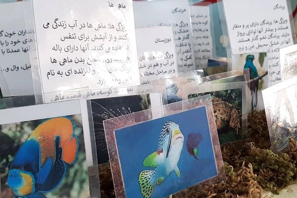 نمایشگاه طرح جابربن‌حیان در دبستان حضرت معصومه (س) بهارستان‌۲