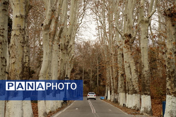 خلوت سرای پاییزی سعدآباد