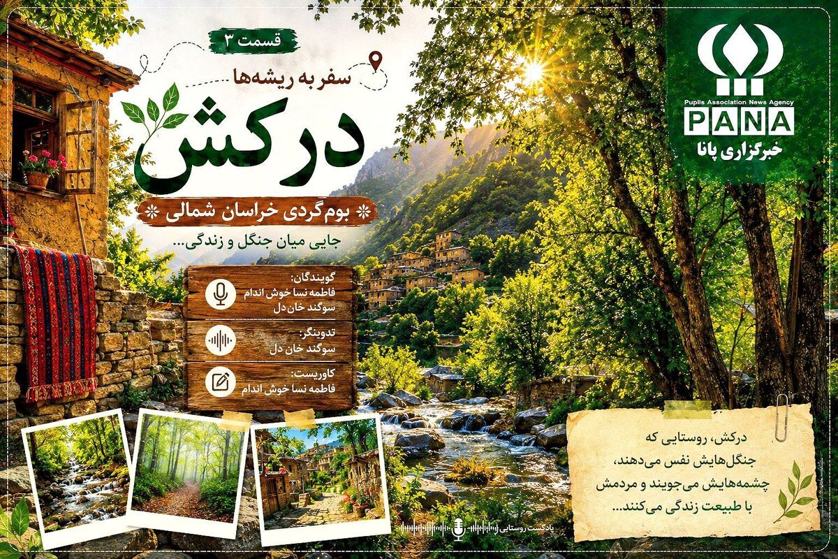 درکش؛جایی میان جنگل و زندگی