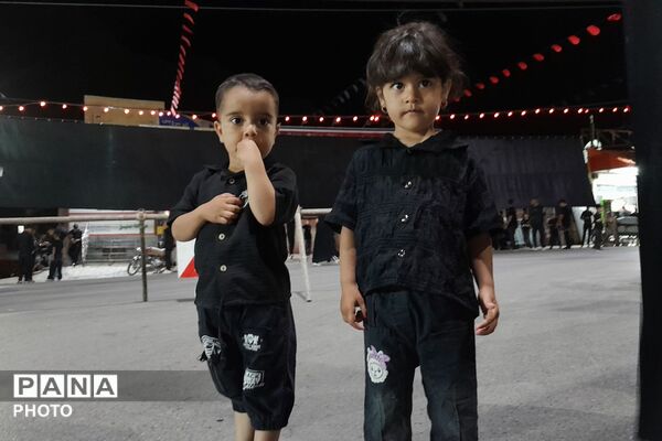 از کربلا تا ایران؛ عزاداران حسینی با پرچم ایران، پیام وحدت و استقامت را فریاد زدند