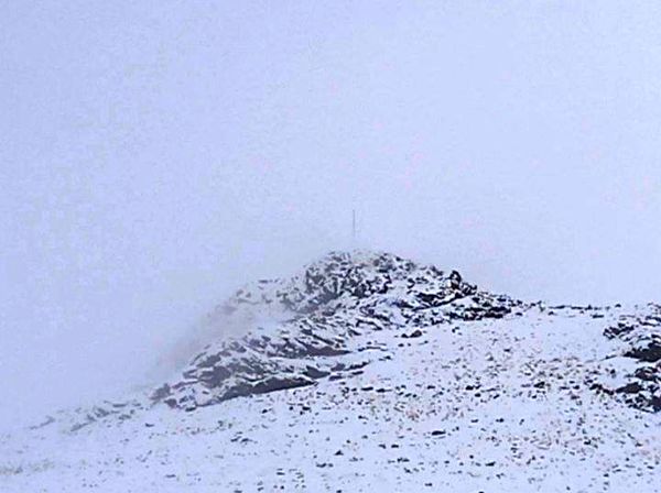 برف زمستانی، مهمان شهرستان کیار