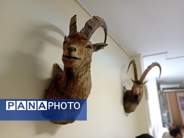 بازدید  خبرنگاران مسئله محور از موسسه گیاه پزشکی تهران