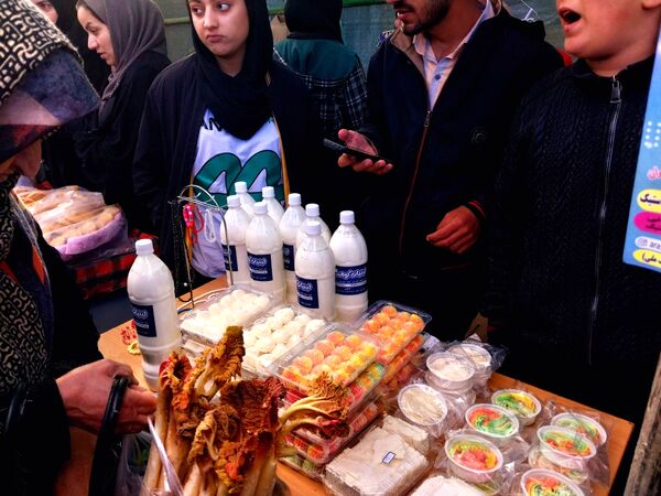 جشنواره ریواس در کوهسرخ