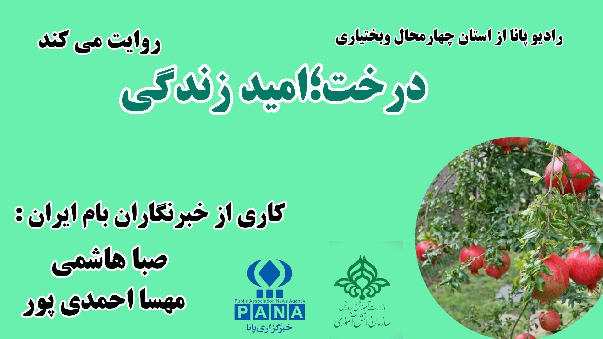 درخت؛ امید زندگی