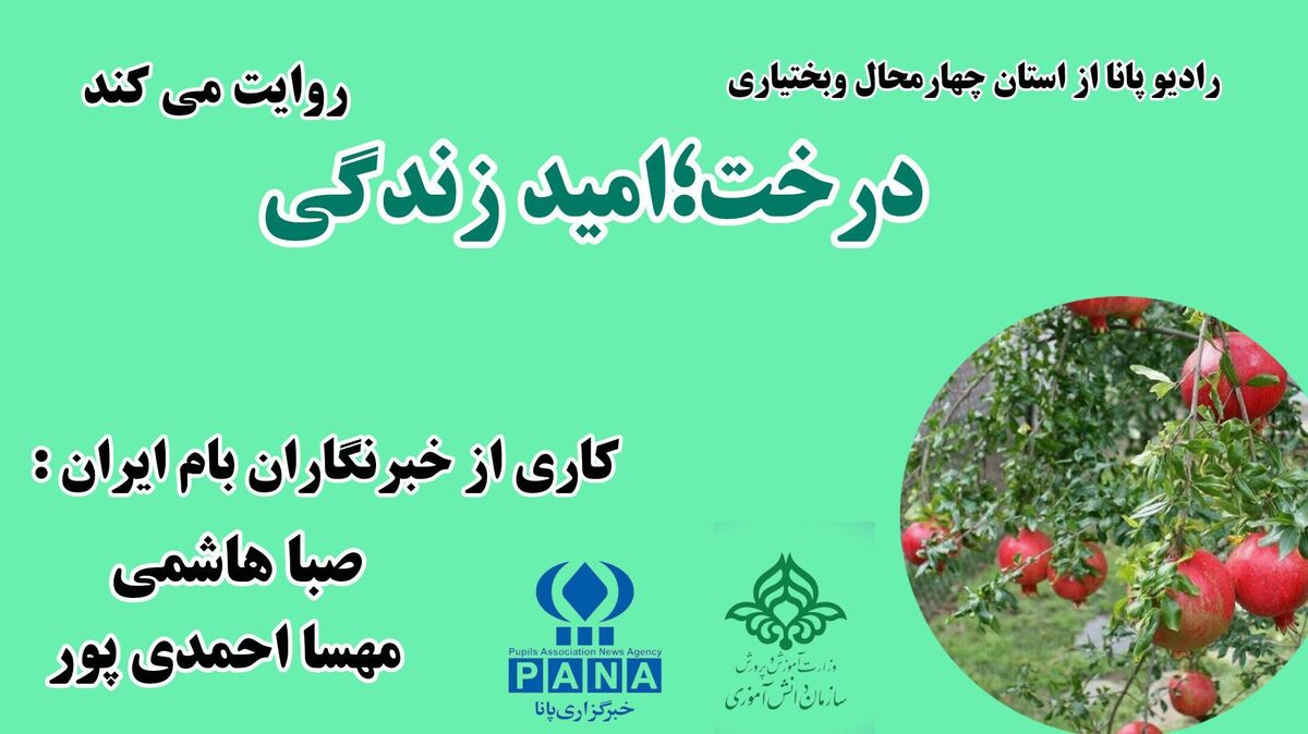 درخت؛ امید زندگی