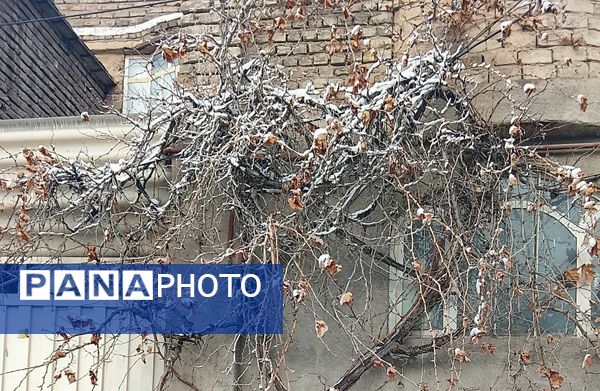 بارش دل‌انگیز برف‌ در اولین روزهای بهمن ماه