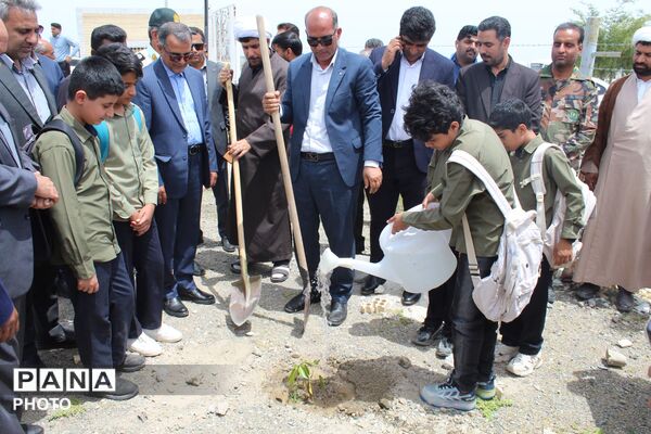 کاشت ۱۶۸ نهال به یاد شهدای مظلوم مدرسه شجره طیبه میناب توسط دانش‌آموزان شهرستان کهنوج