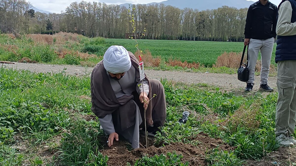 اجرای پویش نهال‌کاری به یاد و خاطره شهدای دانش‌آموز و فرهنگی میناب در استان البرز
