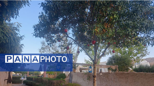 یاقوت سرخ اراک در جشنواره انار به نمایش درآمد