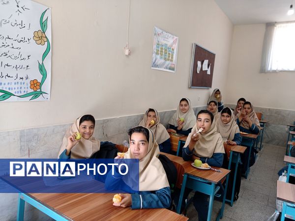 جشنواره غذای سالم در مدرسه سمیه کاشمر 