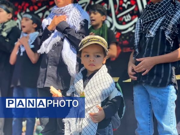 اربعین حسینی در شهرستان کاشمر 