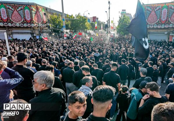 خروش «یا عباس» در پایتخت شور و شعور حسینی