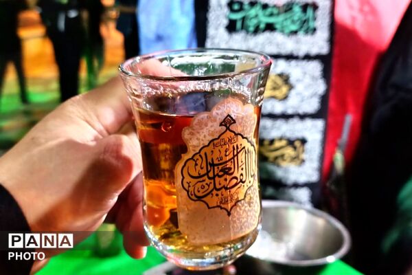 ریحانه‌های جانفدا خدمت به مهمانان امام حسین(ع) را آغاز کردند