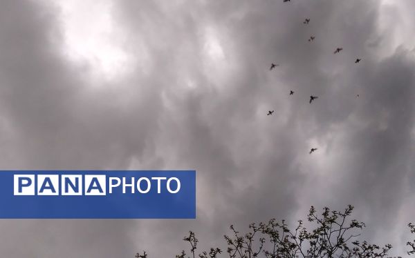باران بهاری؛ ملودی زندگی در بستر طبیعت