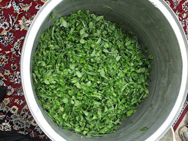 برگزاری افطاری برای روزه اولی‌ها در دبستان شهید‌هاشمی ناحیه پنج 