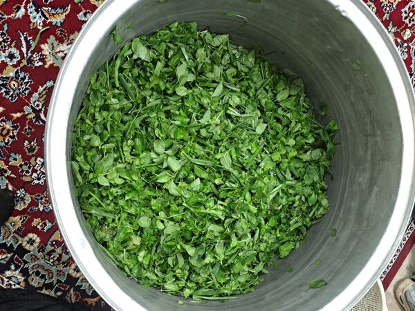 برگزاری افطاری برای روزه اولی‌ها در دبستان شهید‌هاشمی ناحیه پنج 