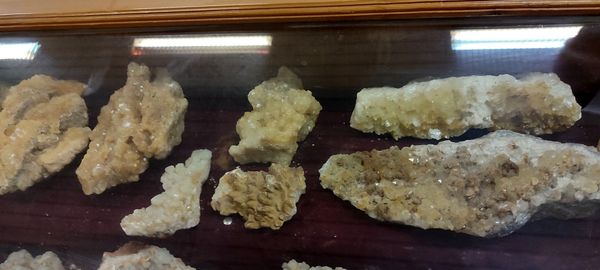 برگزاری اردوی علمی دانش‌آموزان مدرسه سعادت در دانشگاه هرمزگان