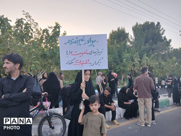 قدم هایی در راه سیدالشهدا