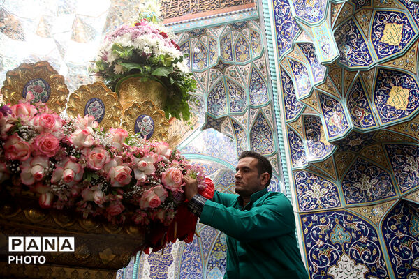 گل آرایی ضریح مطهر حضرت معصومه(س) در شب میلاد امام رضا(ع)