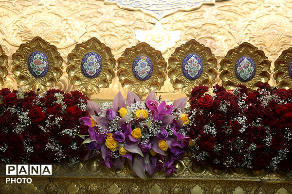 گل آرایی ضریح مطهر حضرت معصومه(س) در شب میلاد امام رضا(ع)