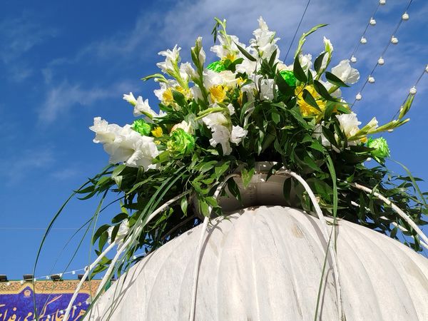 مشهد مقدس در تب‌وتاب جشن ولادت نخستین امام شیعیان  