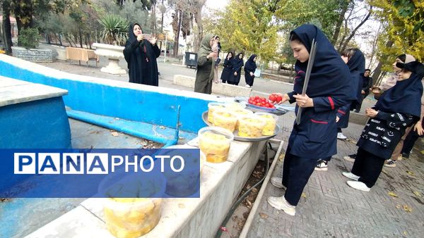اردوی طرح تمشک دانش‌آموزان ناحیه یک بهارستان