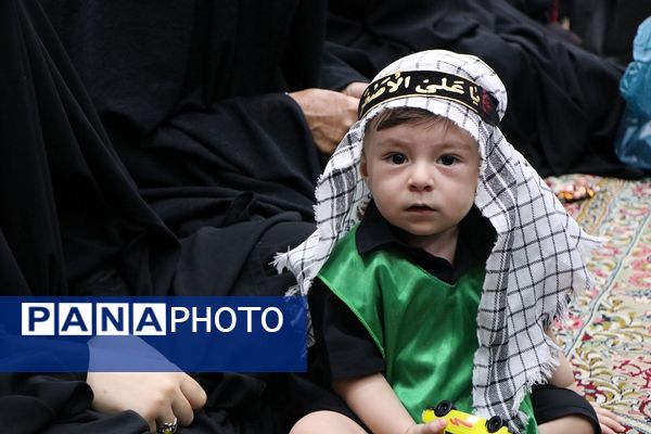 همایش شیرخوارگان حسینی در راور