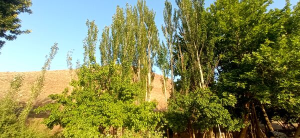 مزار گردشگری کلاته بایزید، گوهر پنهان طبیعت در دل کوهستان 