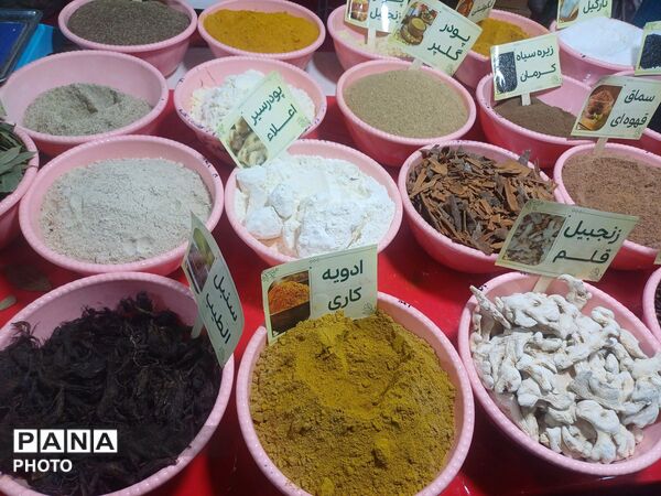 نمایشگاه گل و گیاه و سوغات در همدان