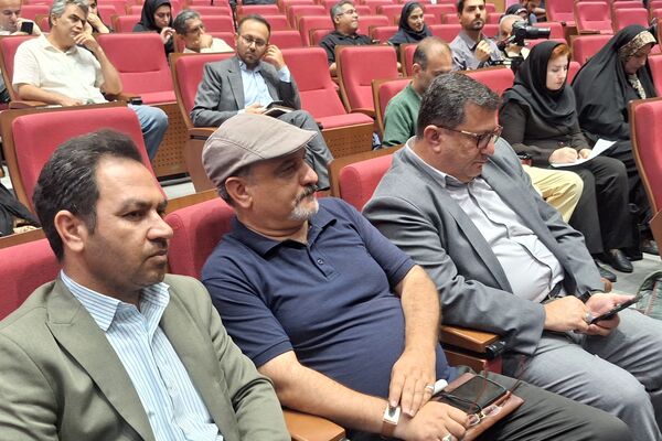 هفته دولت فرصتی برای مرور عملکرد دولت مردان