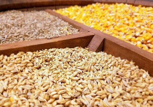 نهاده‌های فروخته شده گران نمی‌شود