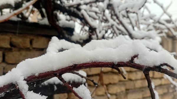 مارکده در آغوش سپیدی برف